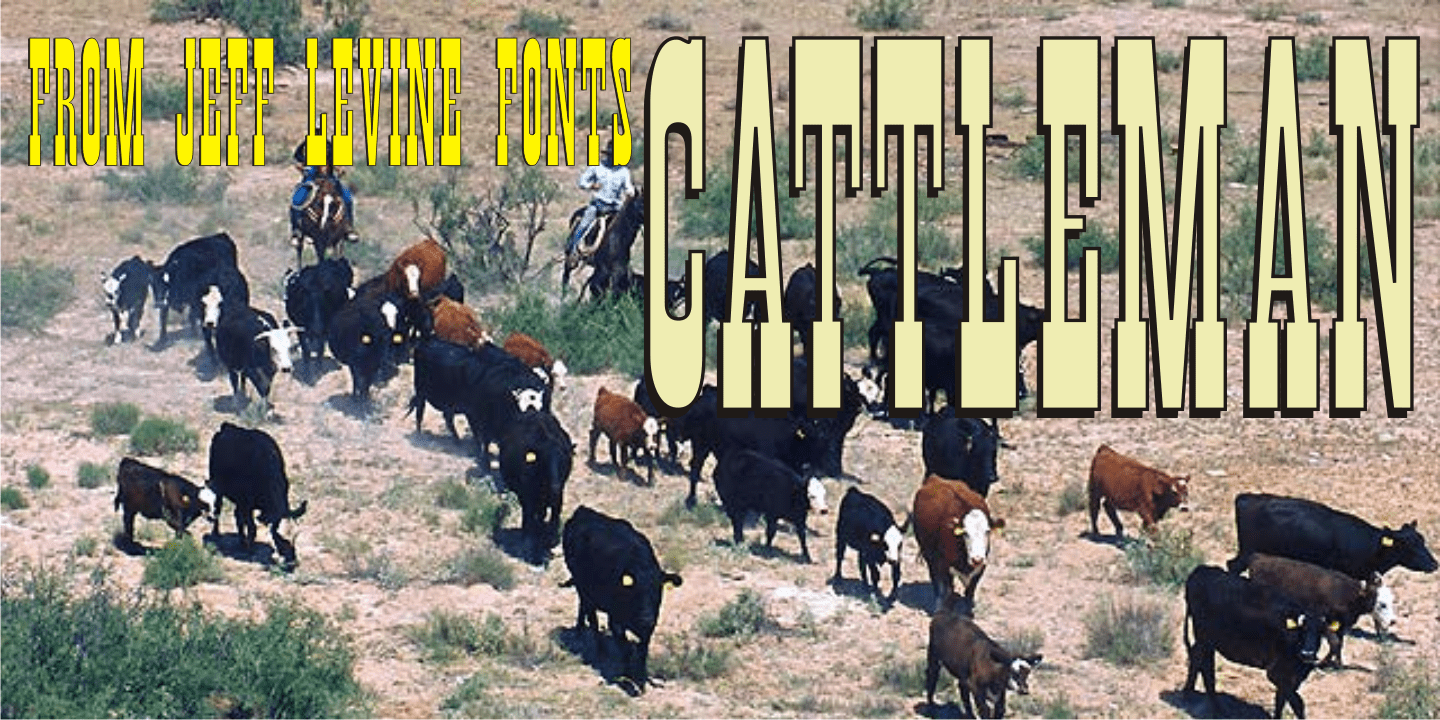 Cattleman Font Poster #1