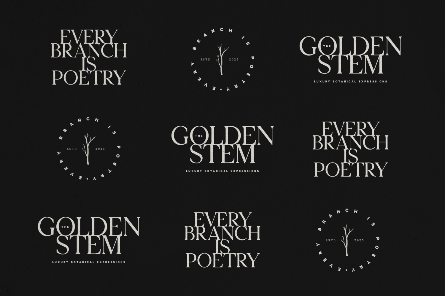 Bloryn & Typolio Font Poster #1