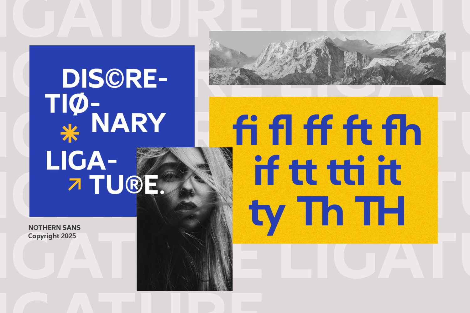 Northern Sans Font Poster #1