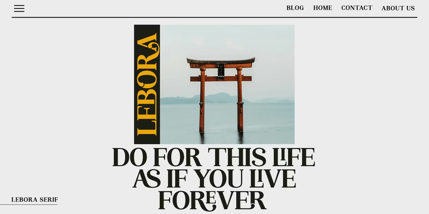 Lebora Font Poster #10