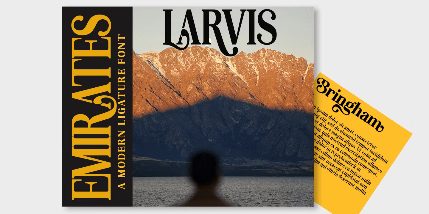 Lebora Font Family Poster