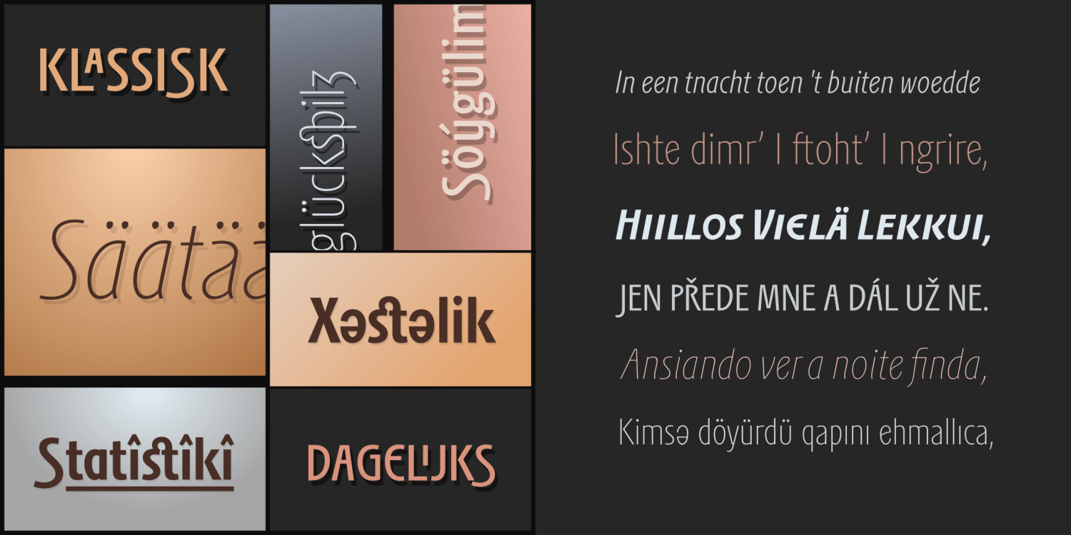PGF Elyss Sans Pro Font Poster #1