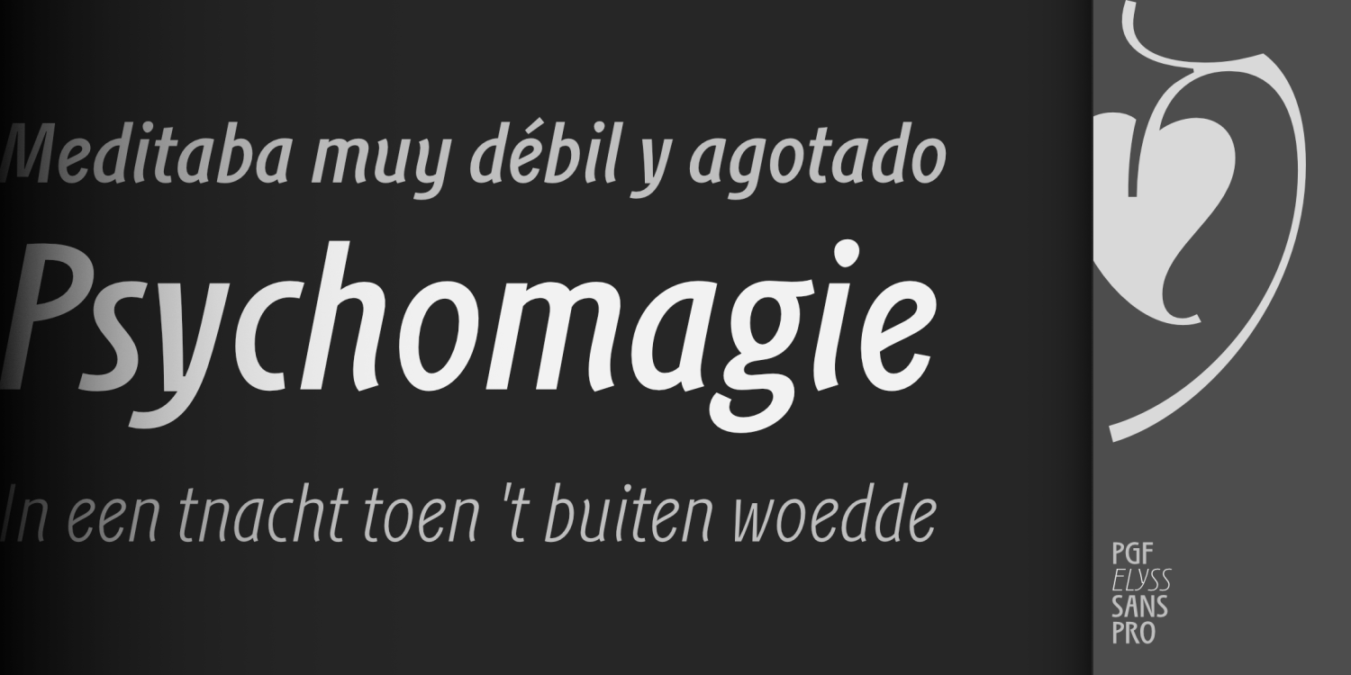 PGF Elyss Sans Pro Font Poster #1