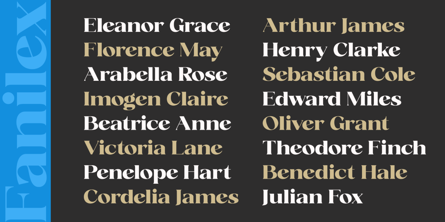 Fanilex Font Poster #10