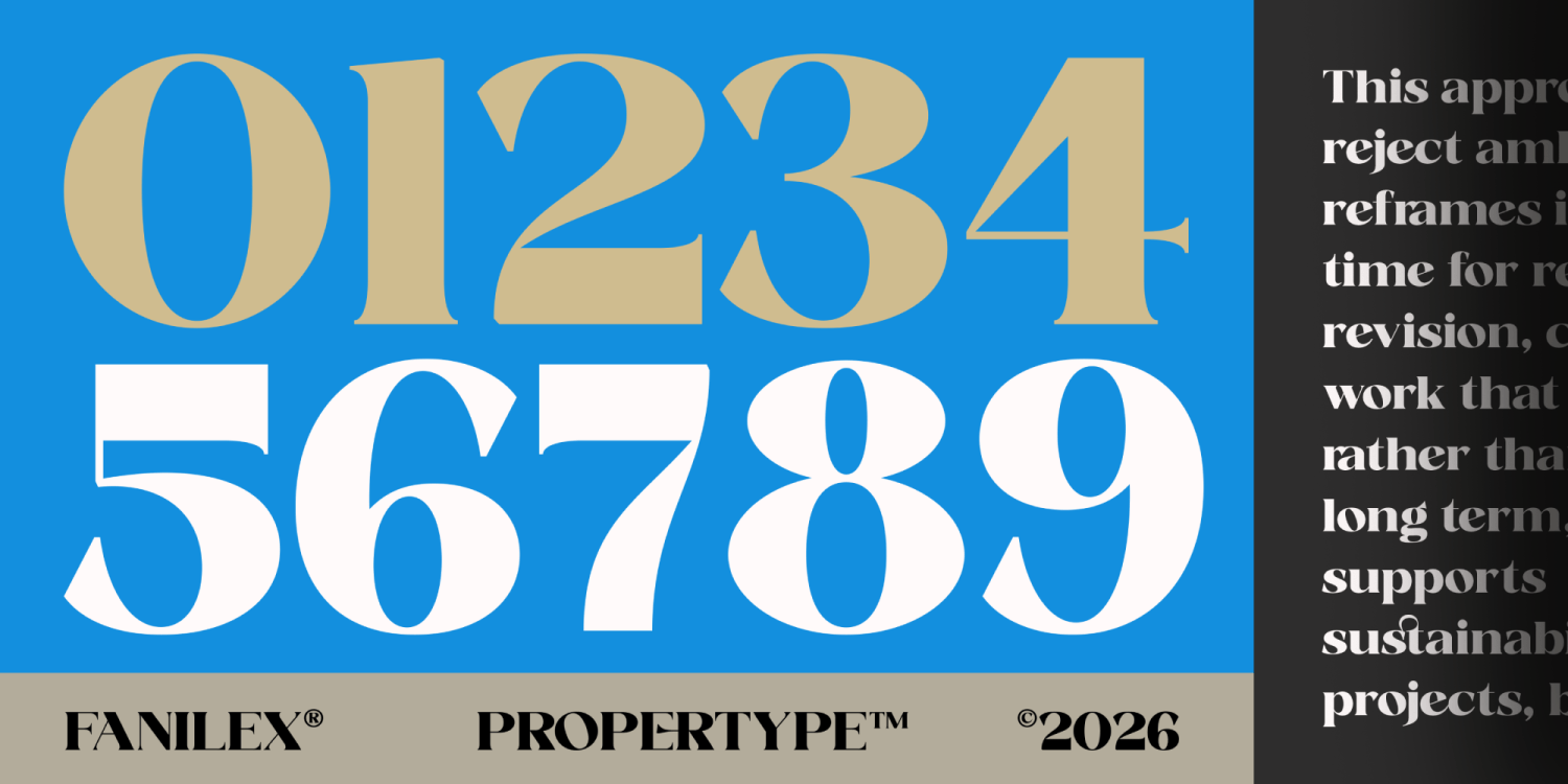 Fanilex Font Poster #12