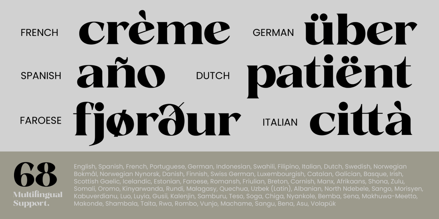 Fanilex Font Poster #13