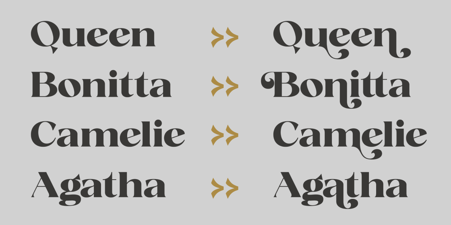 Fanilex Font Poster #14