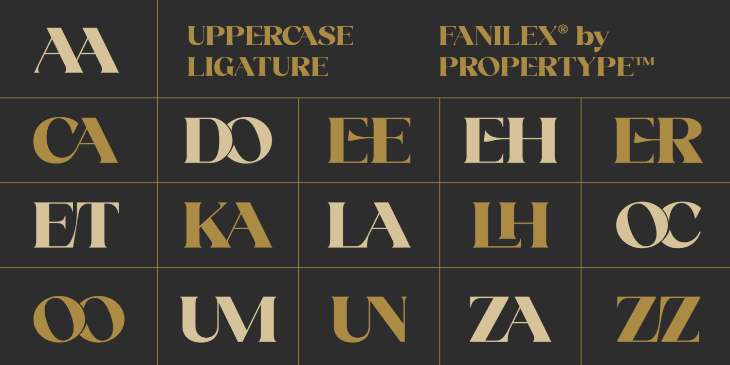 Fanilex Font Poster #4