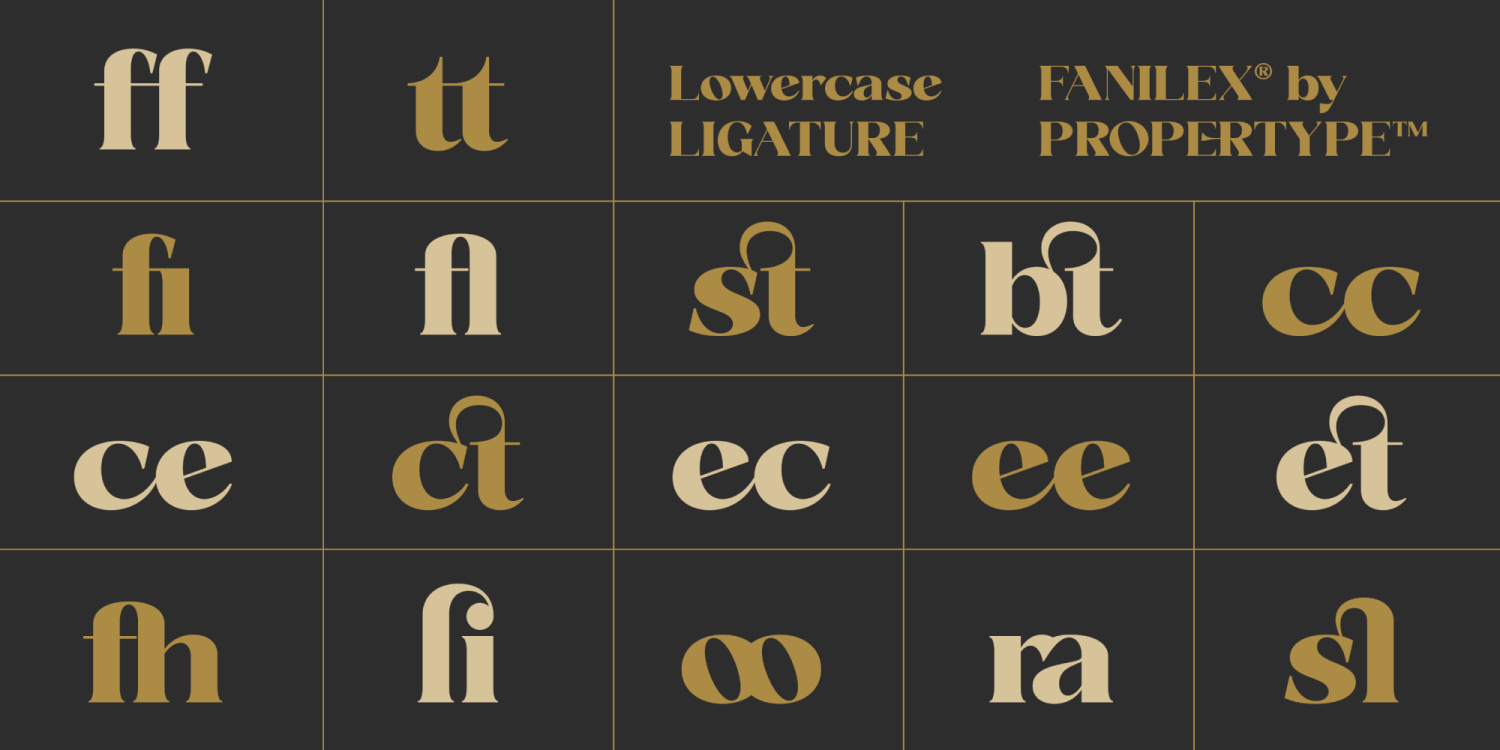 Fanilex Font Poster #5