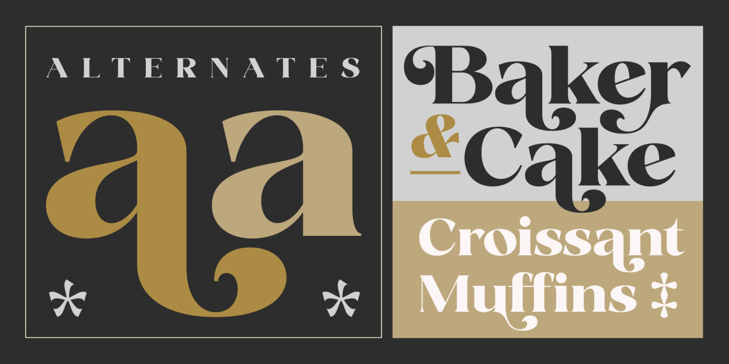 Fanilex Font Poster #7