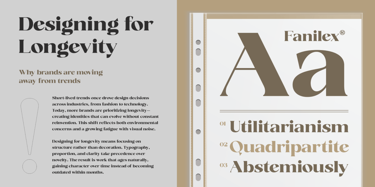 Fanilex Font Poster #8