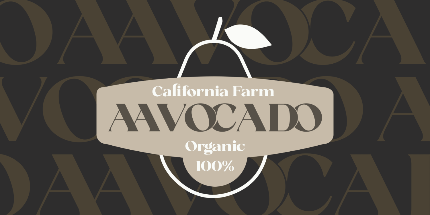 Fanilex Font Poster #9