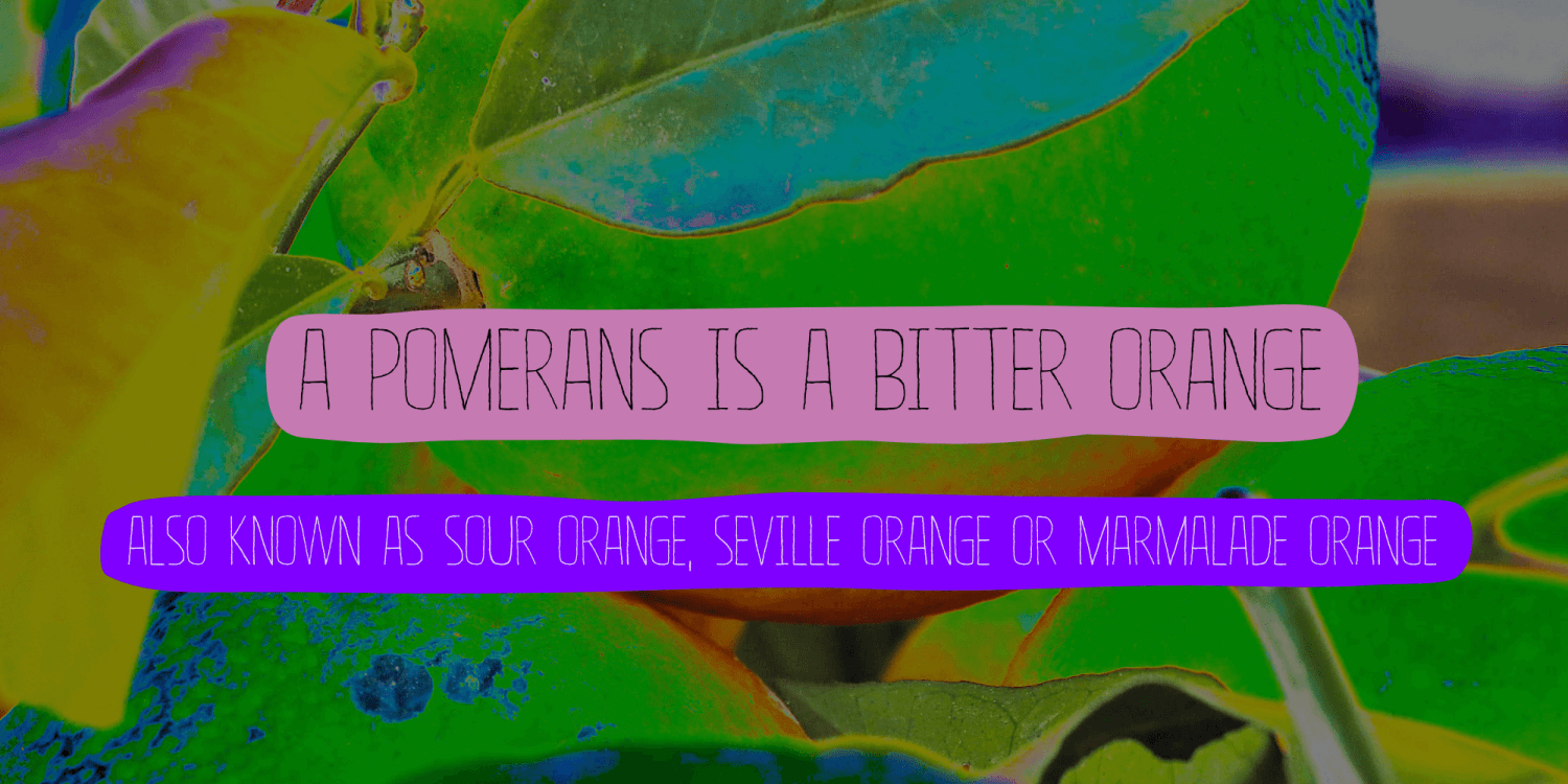Pomerans Font Poster #1