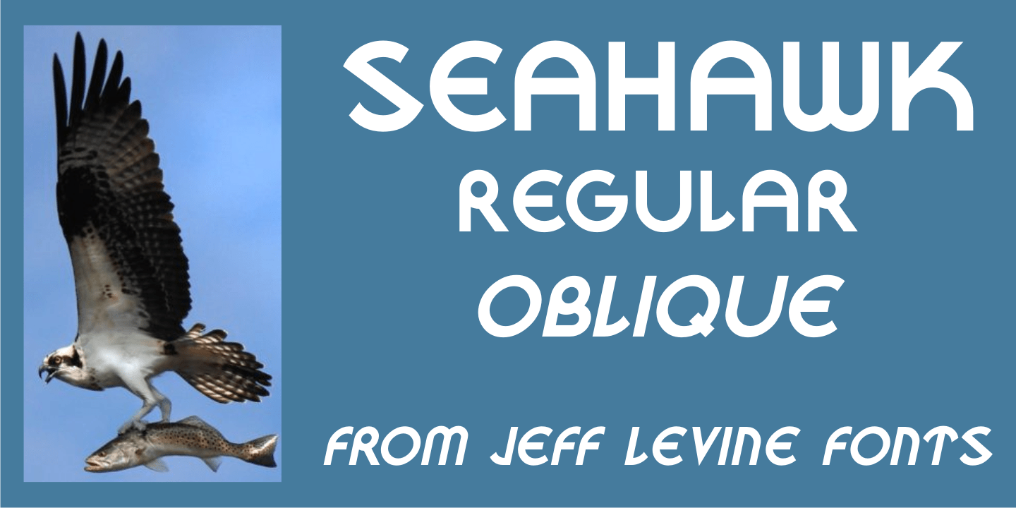 Seahawk Font Poster #1