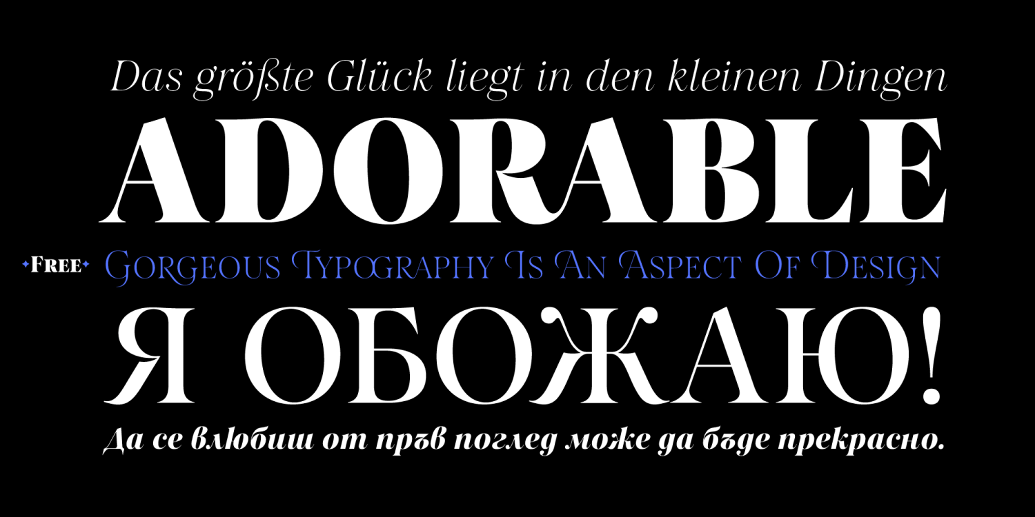 Salina Font Poster #1