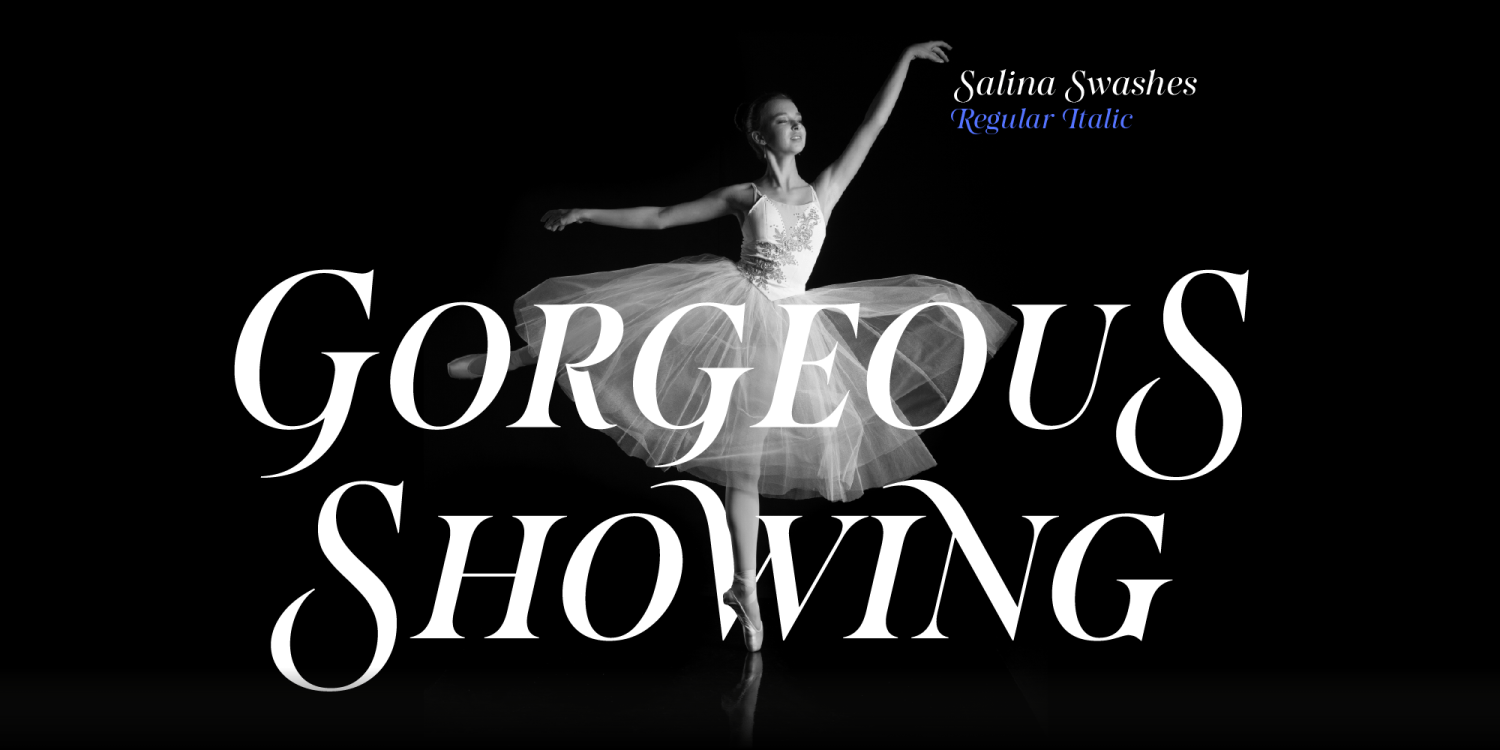 Salina Font Poster #1