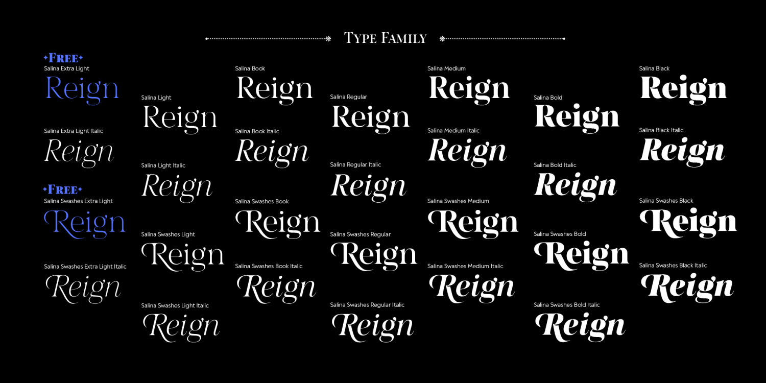 Salina Font Poster #1