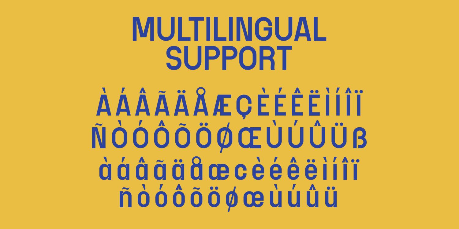 Nelsond Font Poster #1