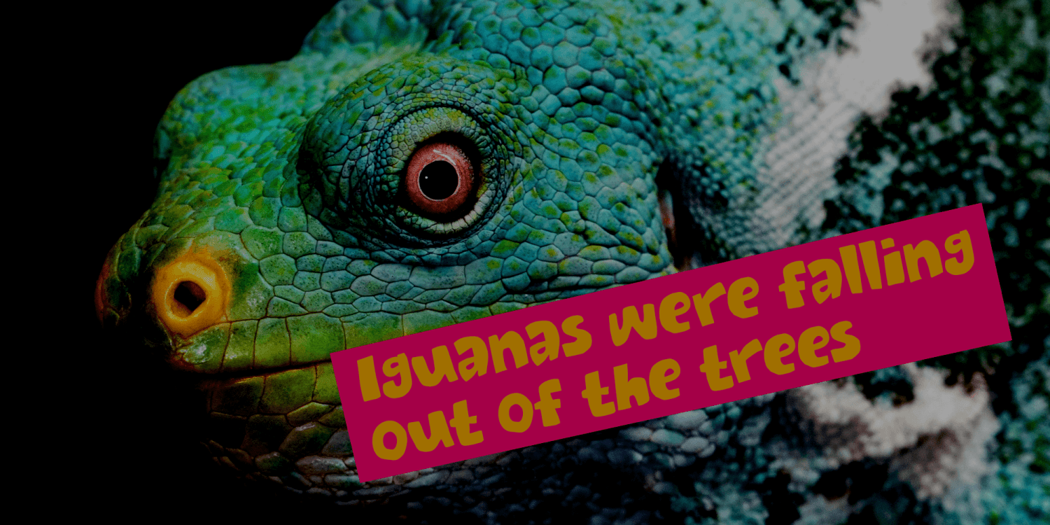 Off Yer Trolley Font Poster #1