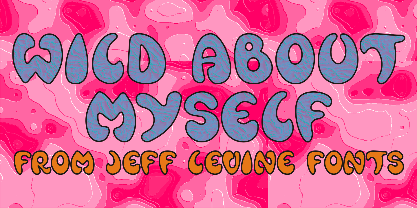 Wild About Myself Font Poster #1