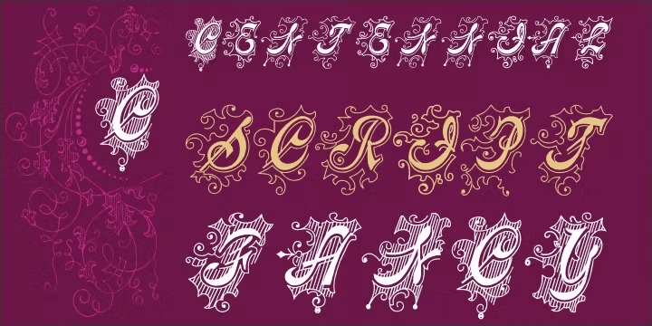 Fancy Script Fraction Centennial Script Fancy Font Family by Intellecta Design | Font Bros