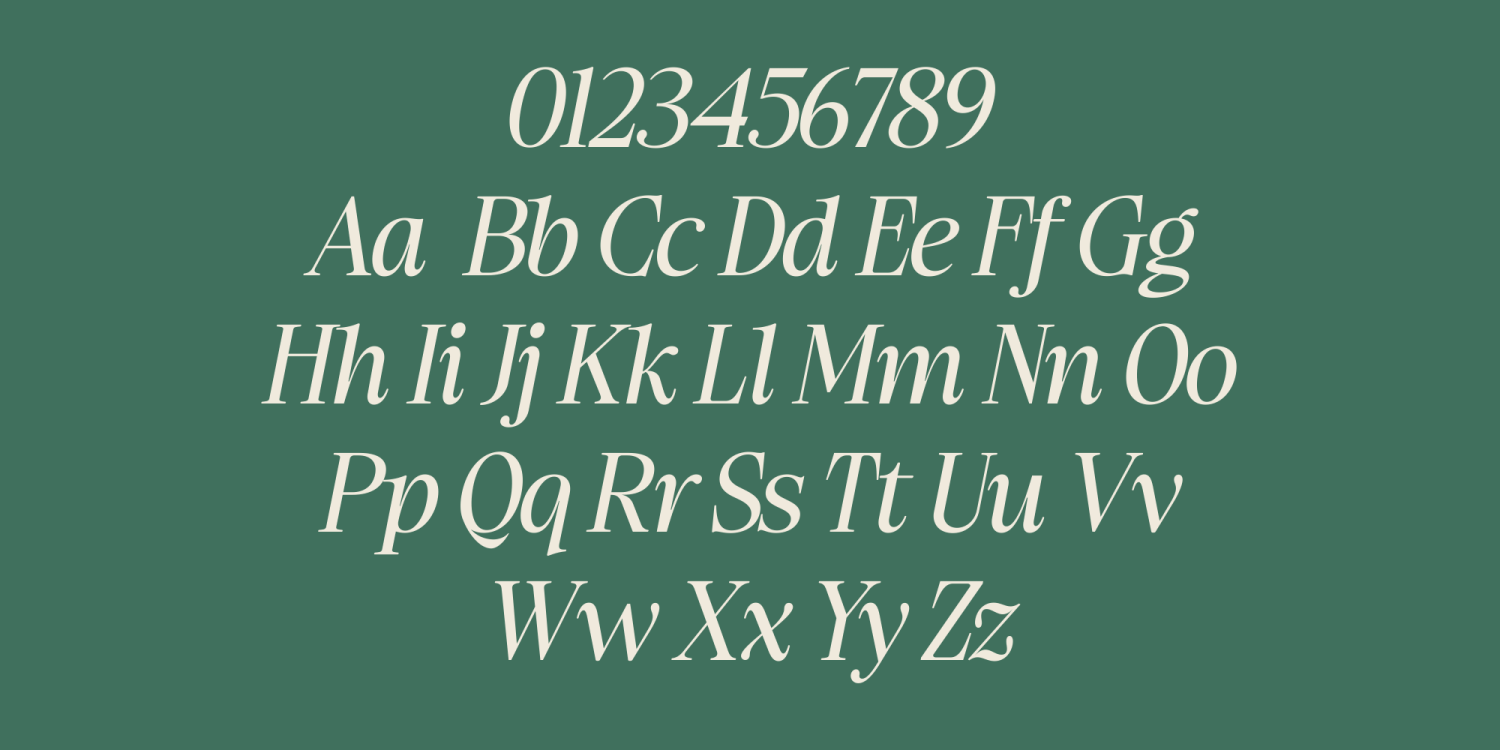 Ladinta Font Poster #11