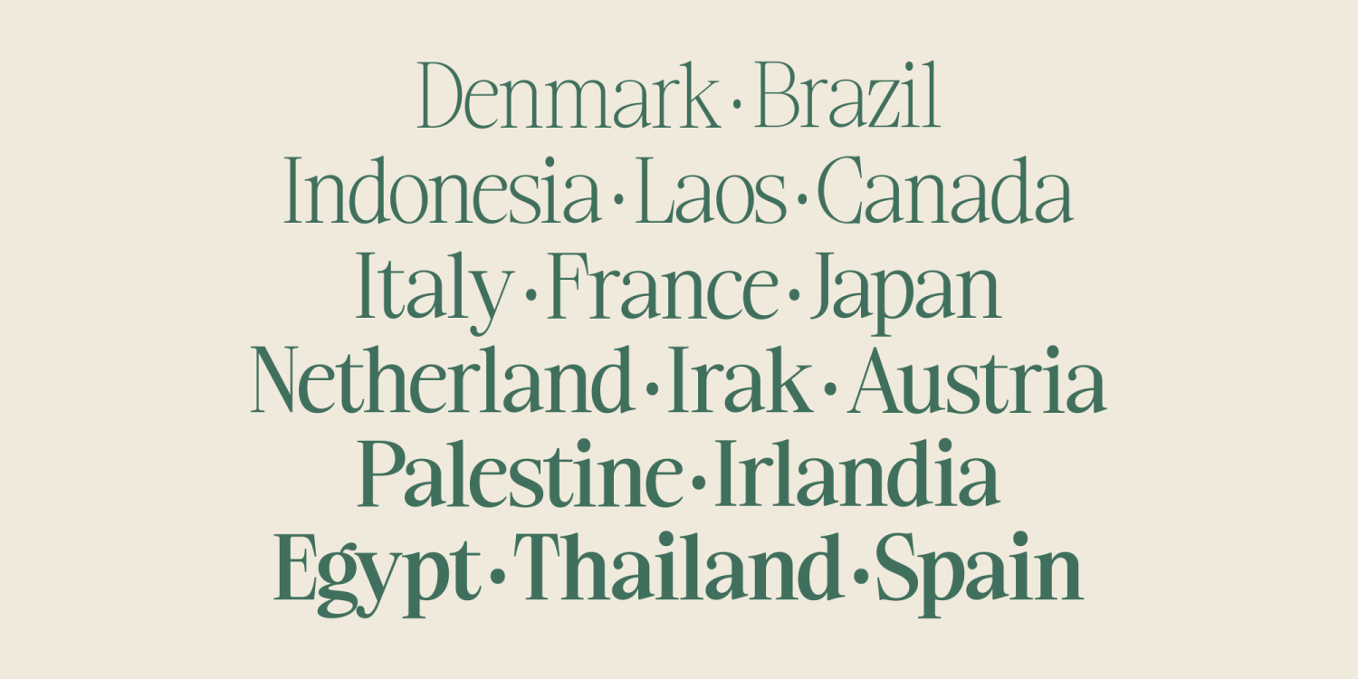 Ladinta Font Poster #12