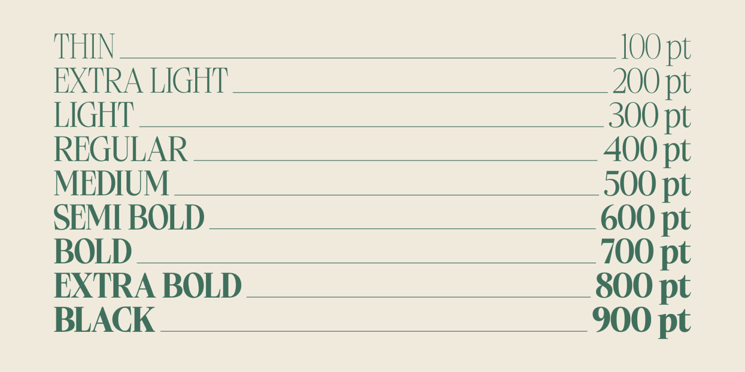 Ladinta Font Poster #5