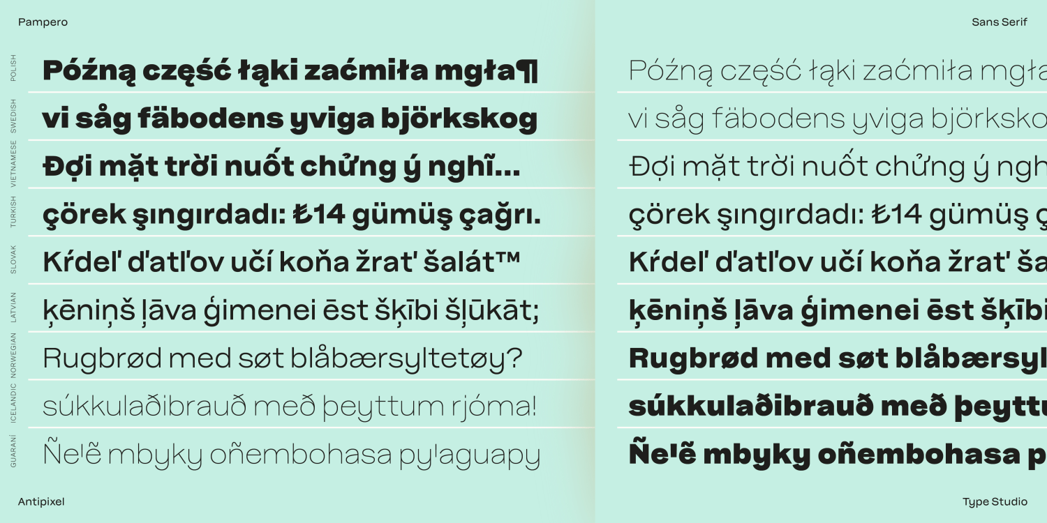 Pampero Light Font Poster #10