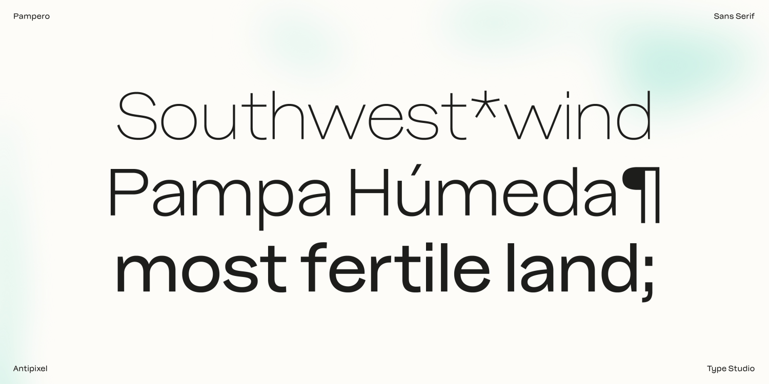 Pampero Light Font Poster #11