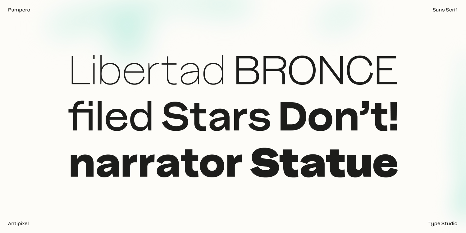 Pampero Light Font Poster #9