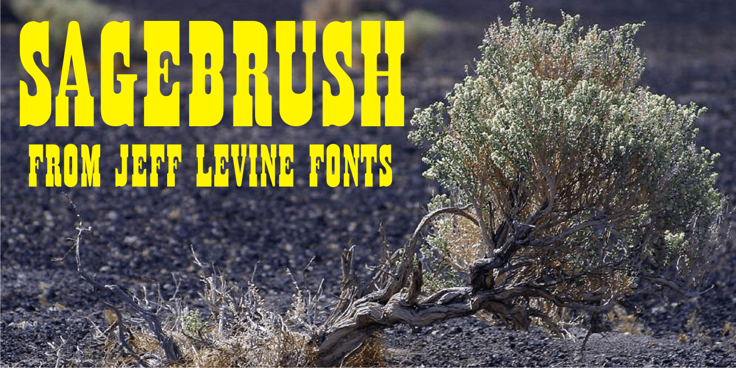 Sage Brush Font Family Poster