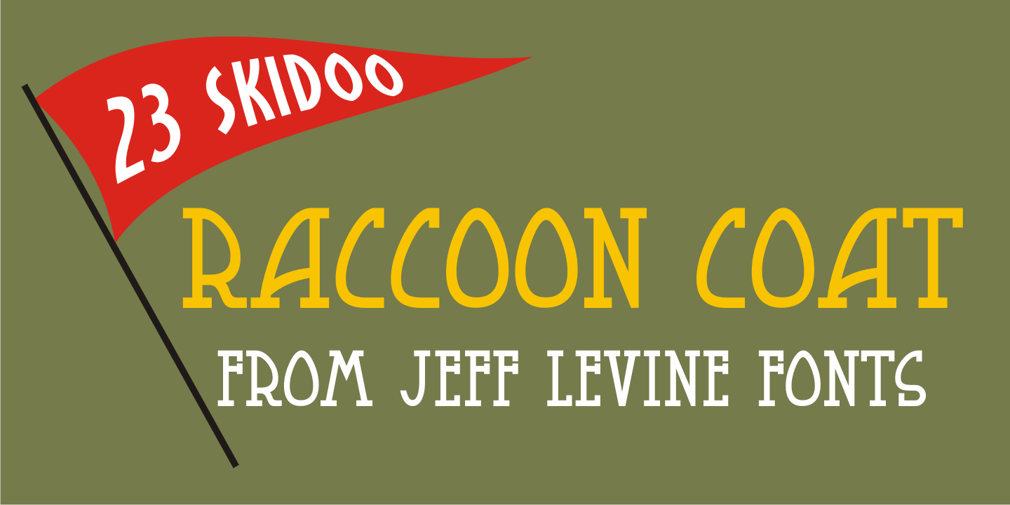 Raccoon Coat Font Family Poster