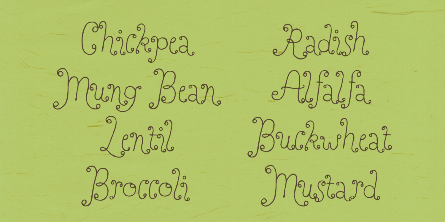 Perfect Sprouts Font Poster #1