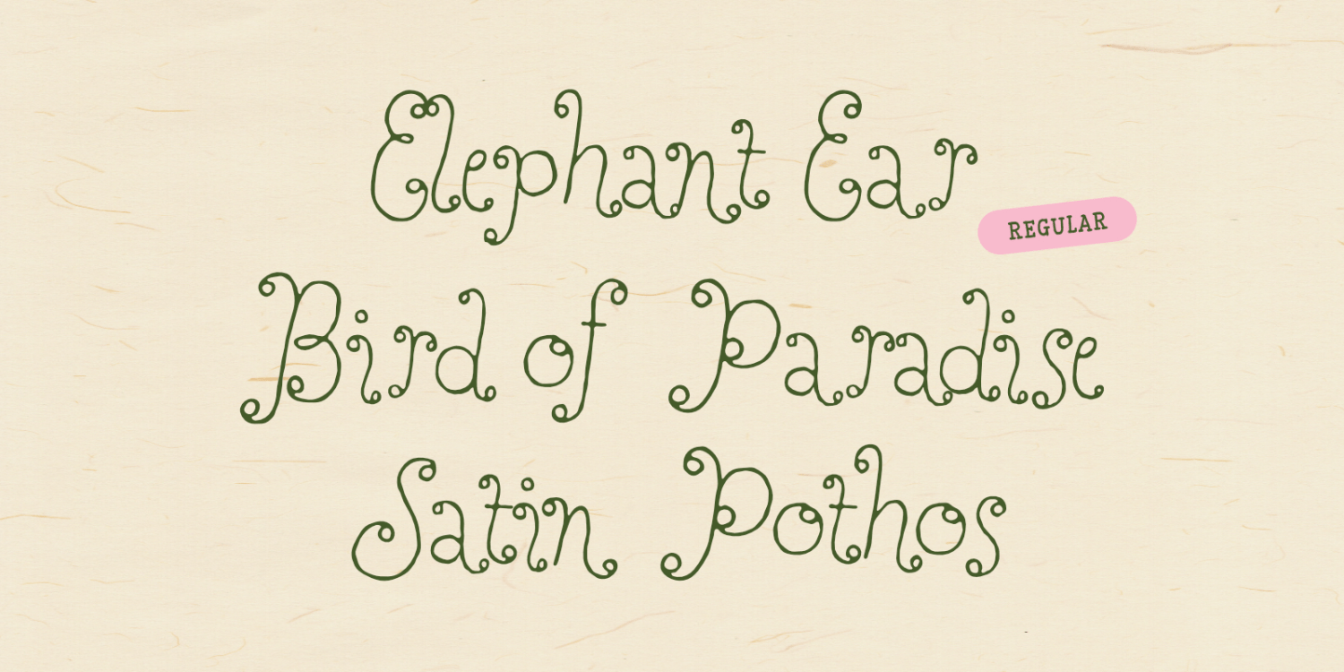 Perfect Sprouts Font Poster #1