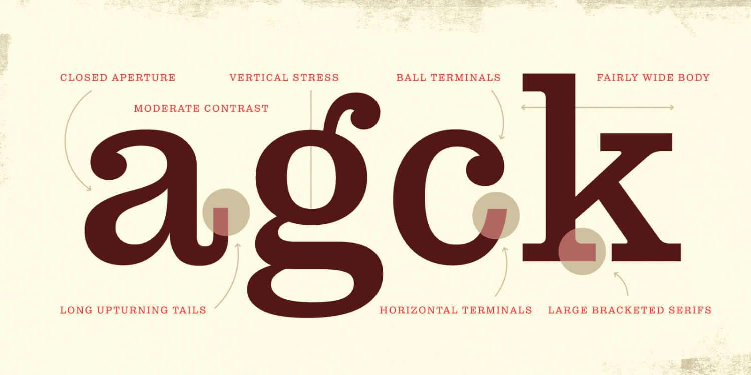 Pulpo Font Poster #1