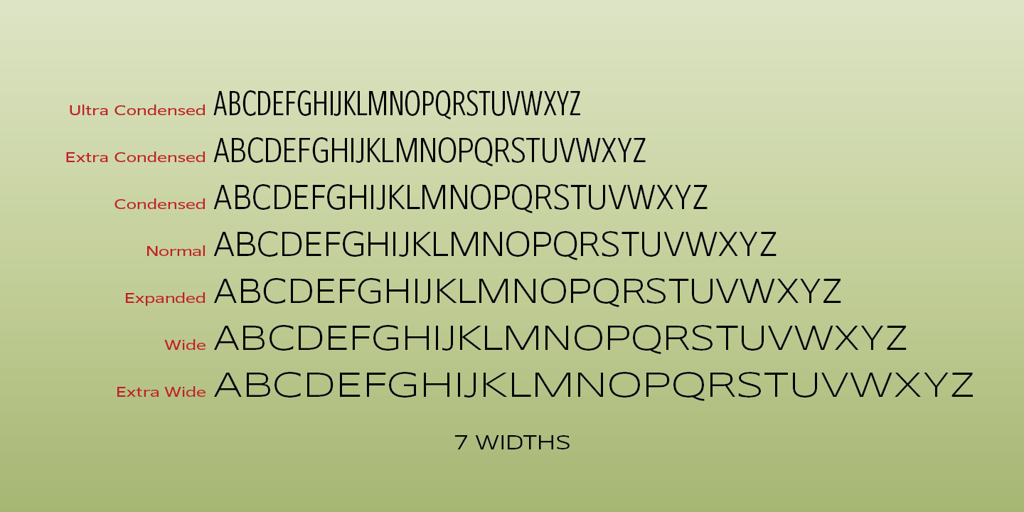 Belle Sans Font Poster #1