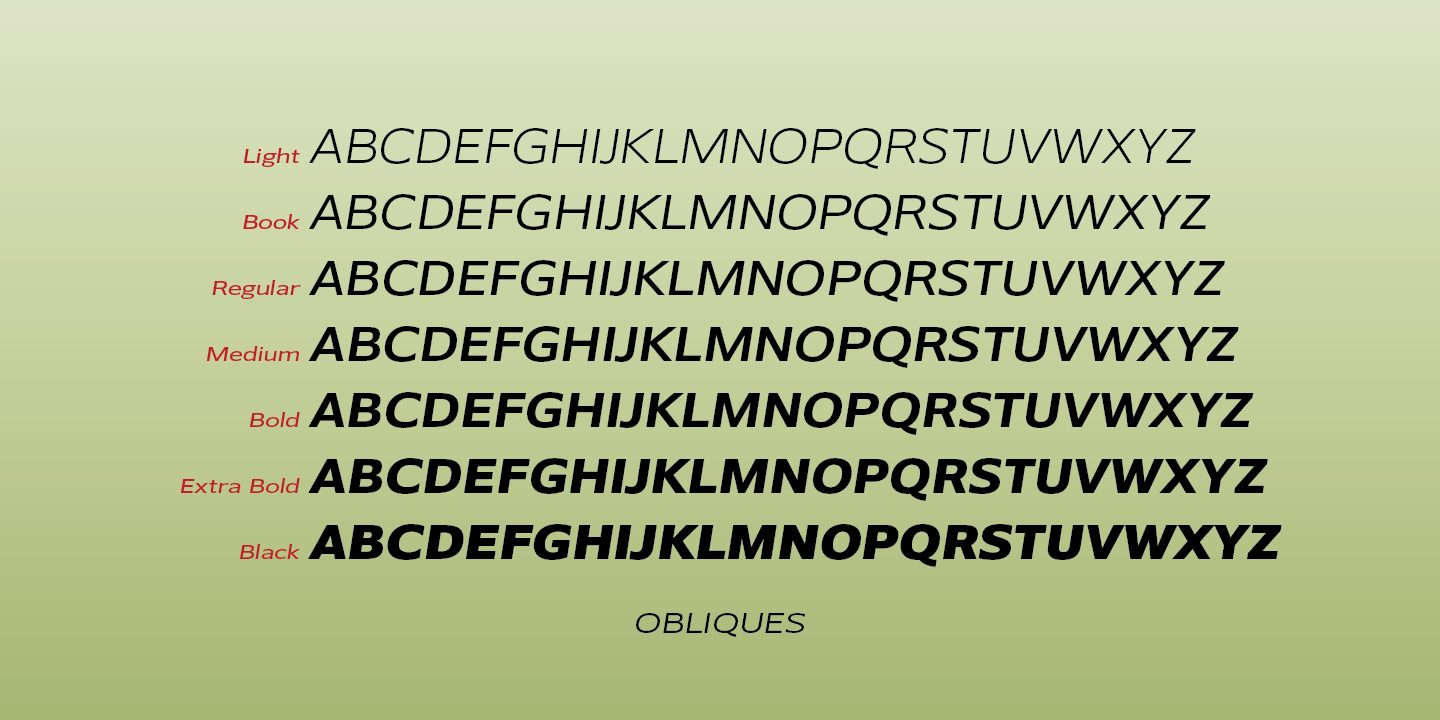 Belle Sans Font Poster #1