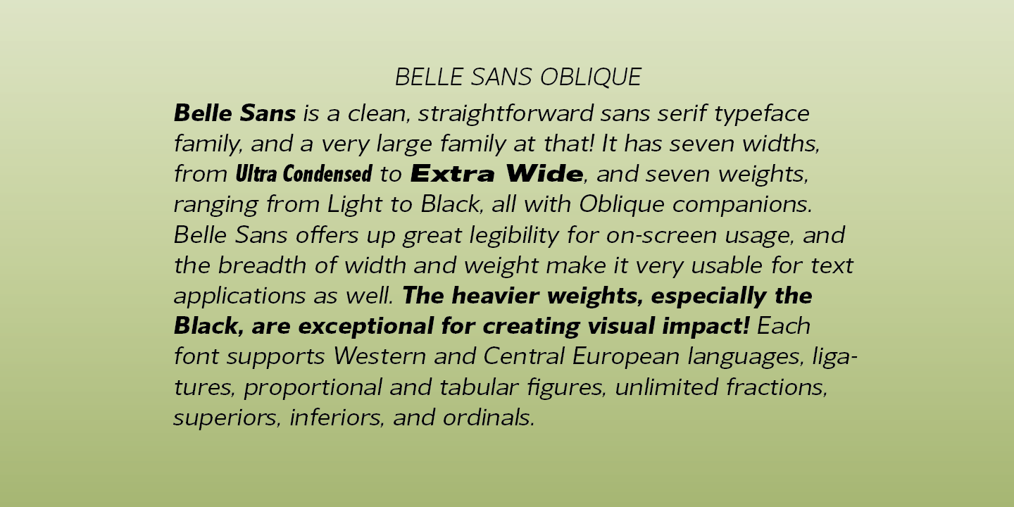 Belle Sans Font Poster #1
