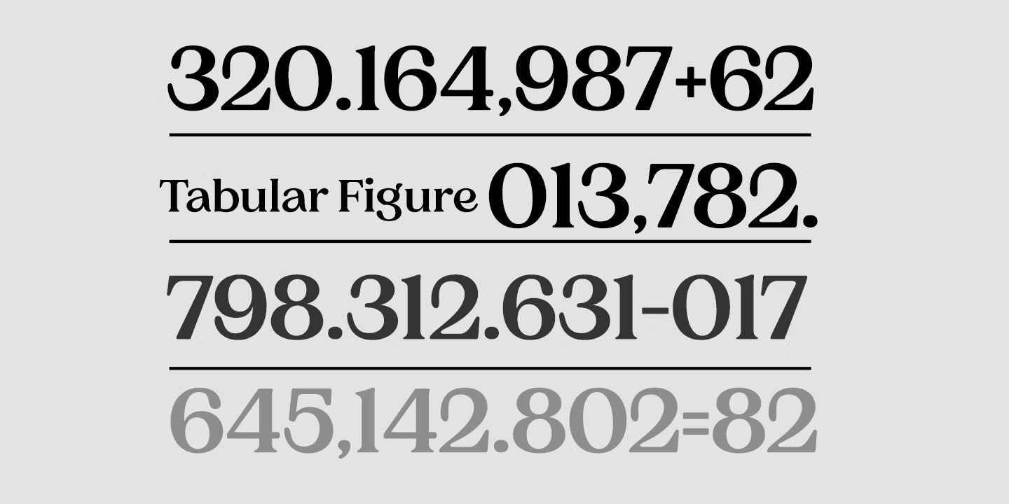 Charman Serif Font Poster #10
