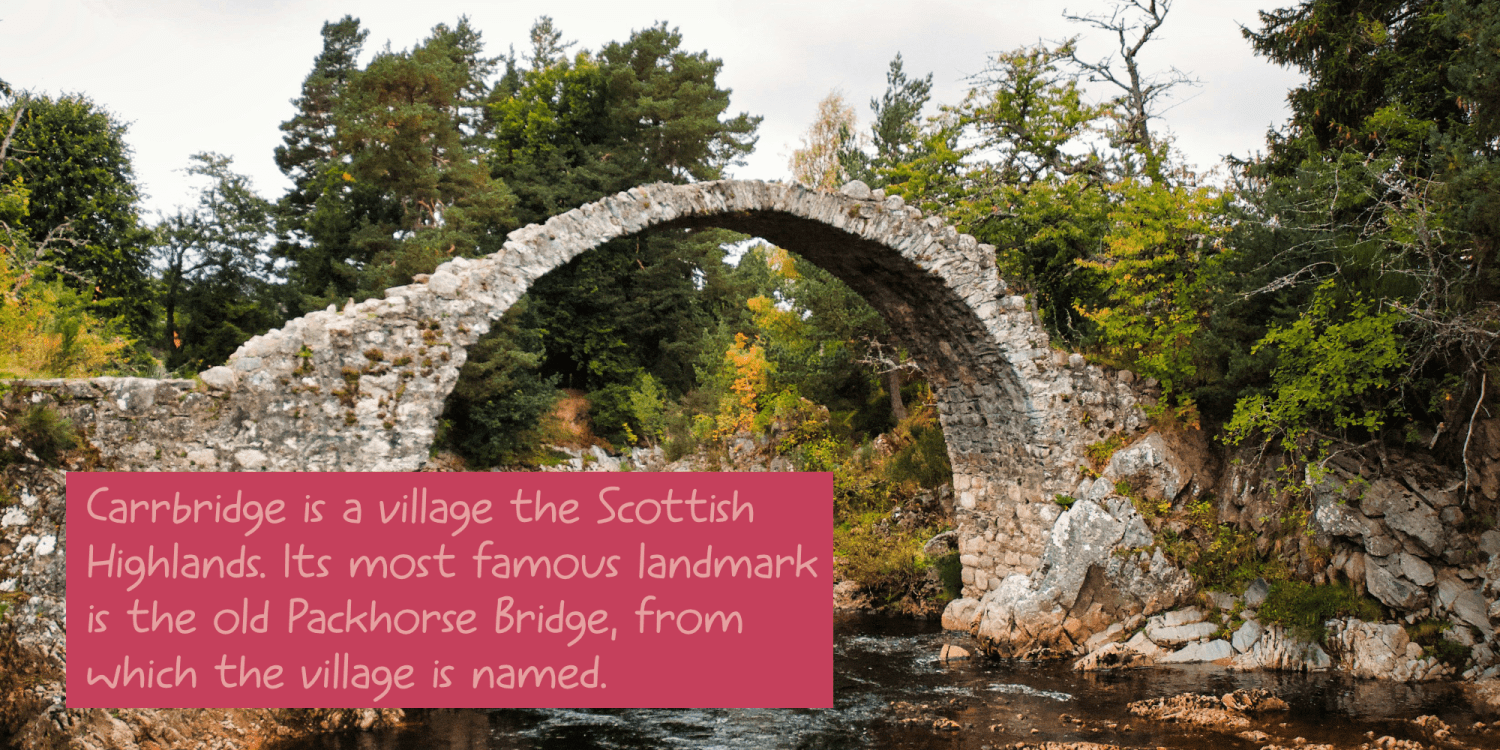 Spurtle Font Poster #1