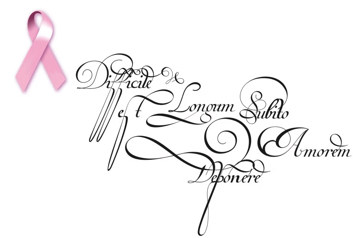 Van den Velde Script Pro Font Family Poster