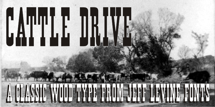 Cattle Drive Font Poster #1