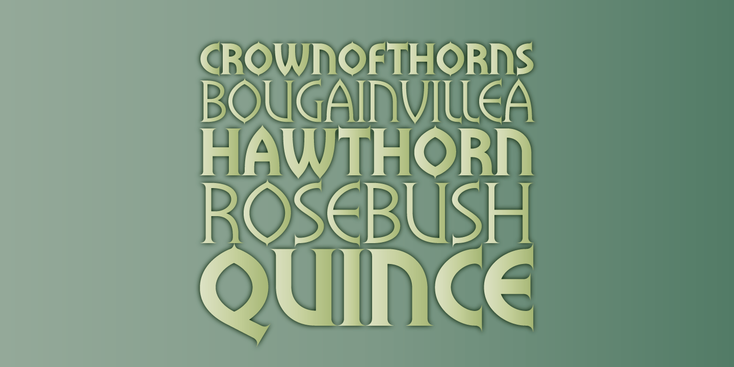 Flowers Family Font Poster #1
