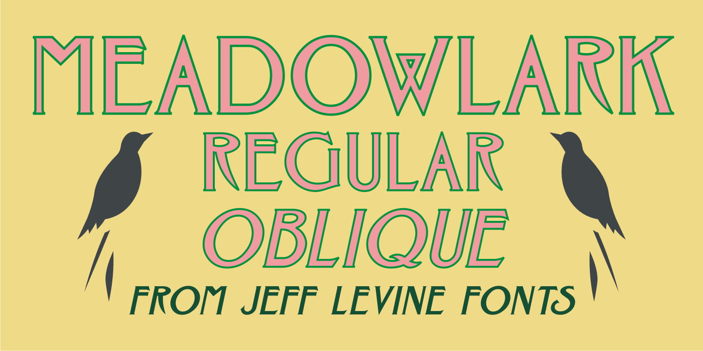 Meadowlark Font Family Poster