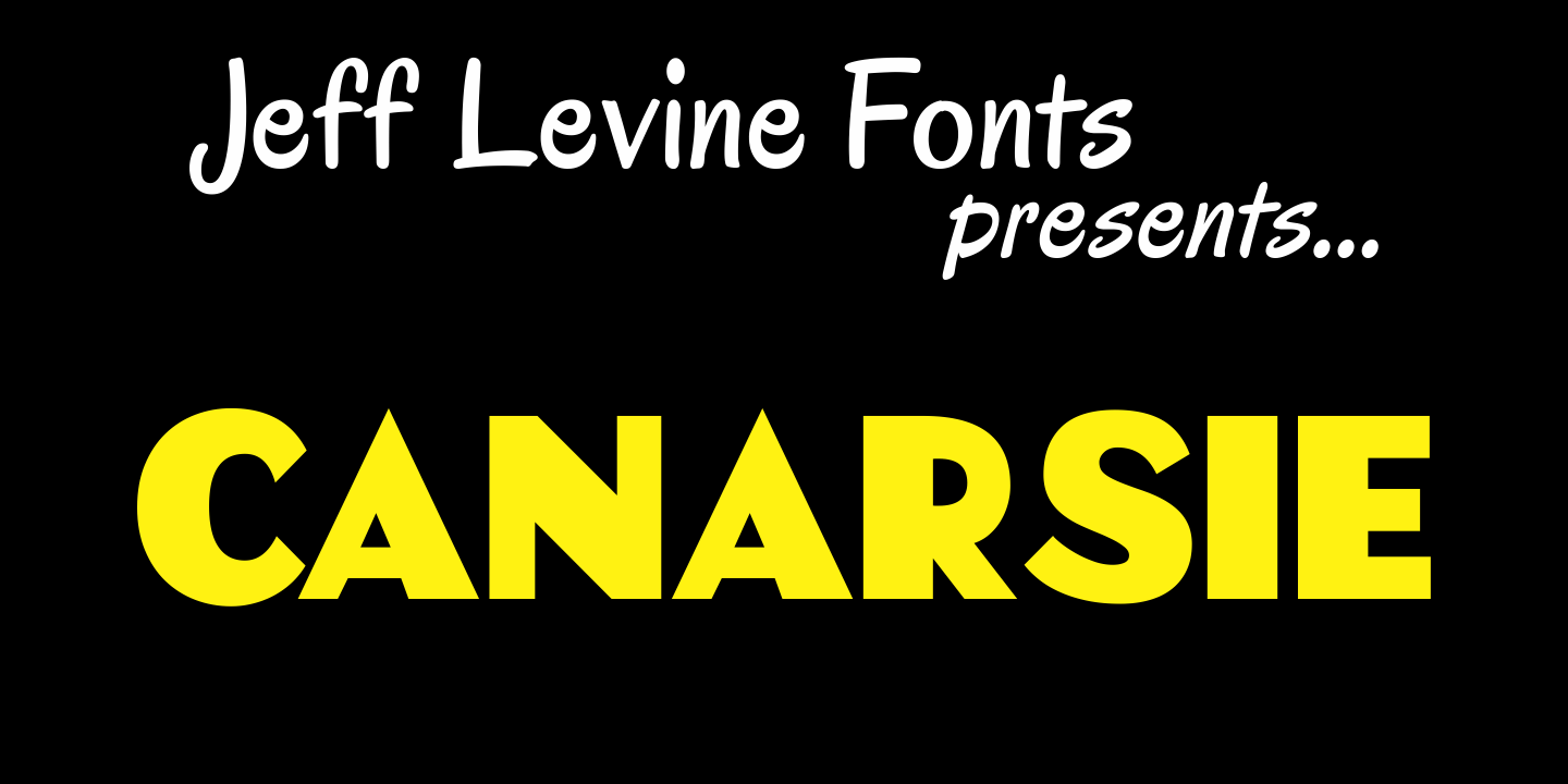 Canarsie Font Family Poster