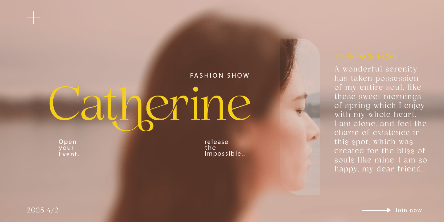 Demetras Font Family Poster