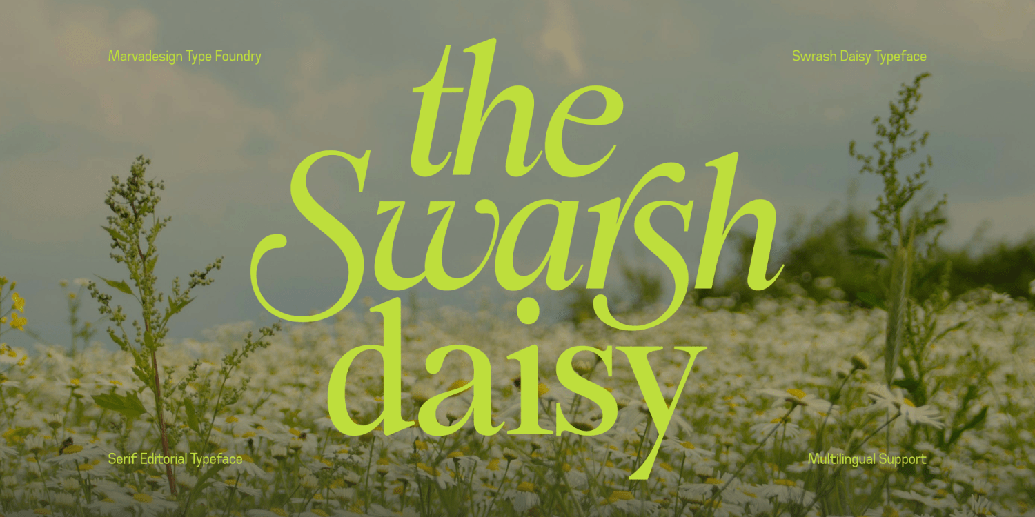 Swarsh Daisy Poster