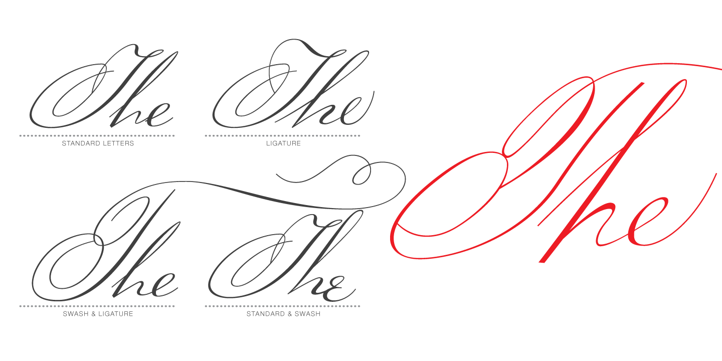 Ignorance Font Poster #1