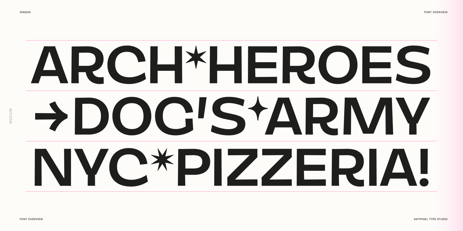 Dingos ExtraLight Font Poster #1